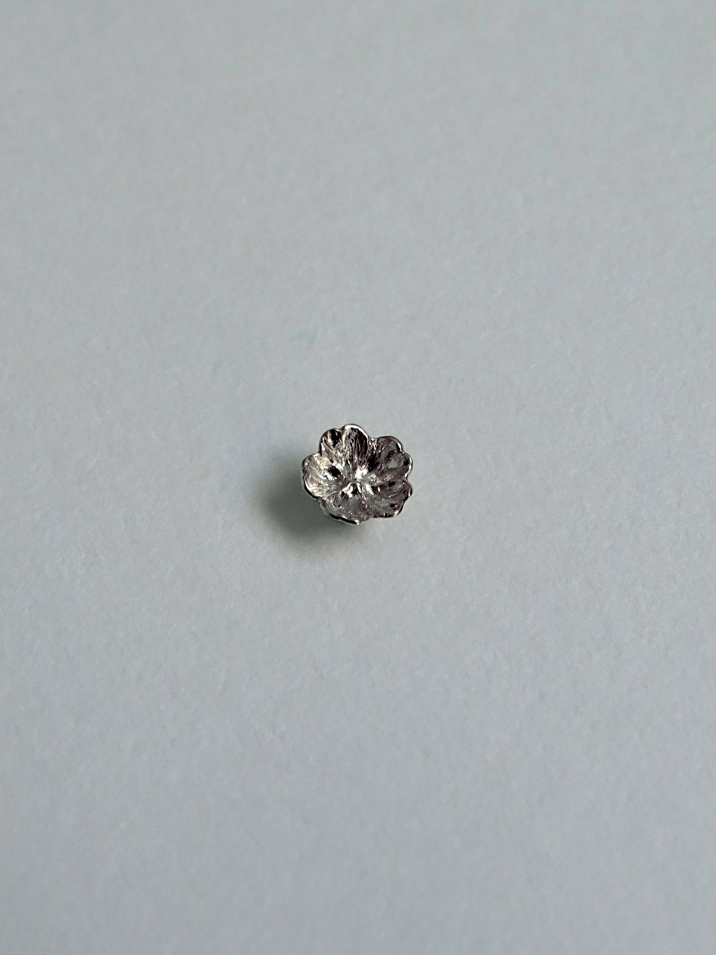 Cherry Blossom Earring ∙ Silver