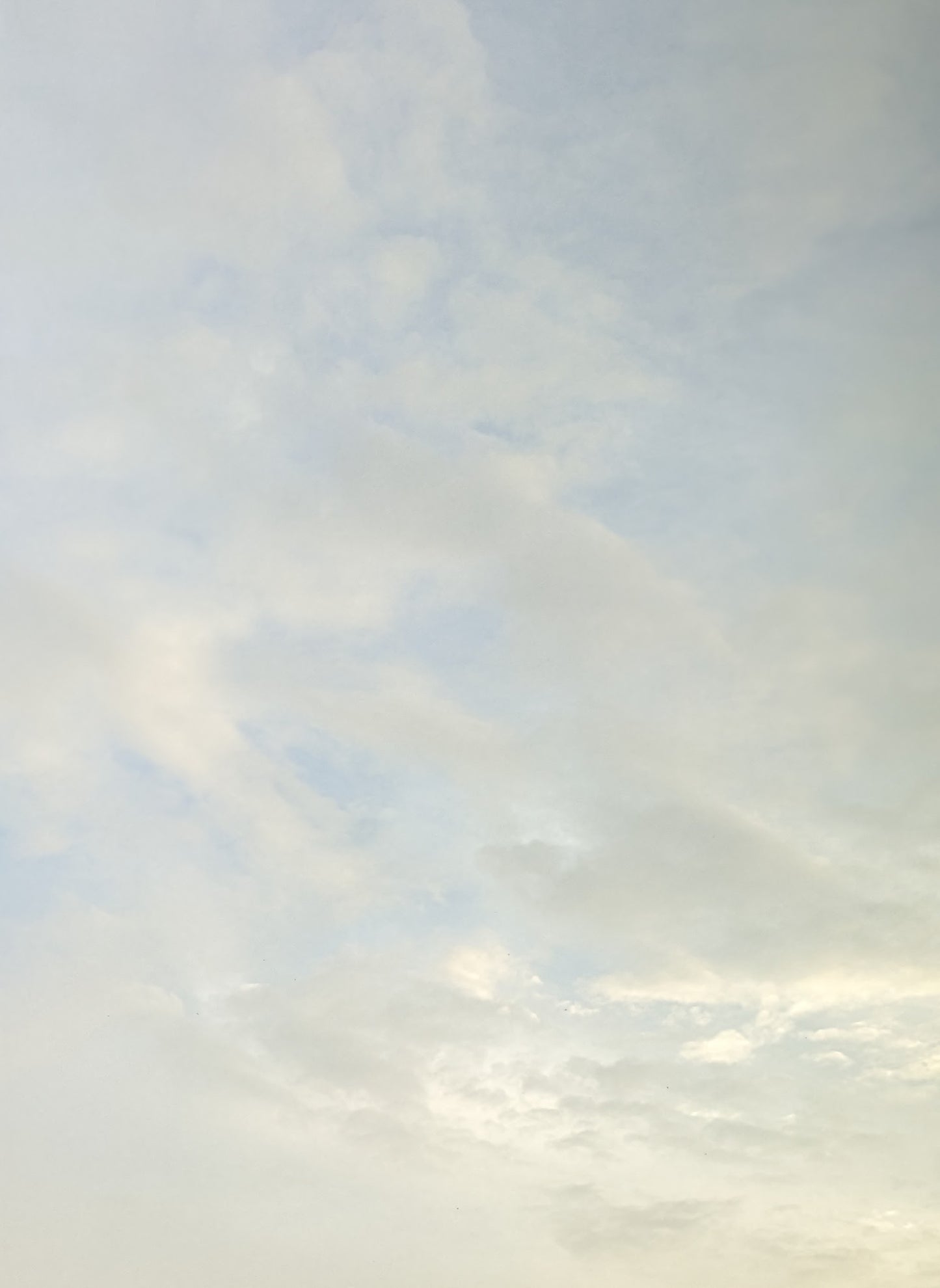 Tiny Flower Bracelet ∙ Morning Air