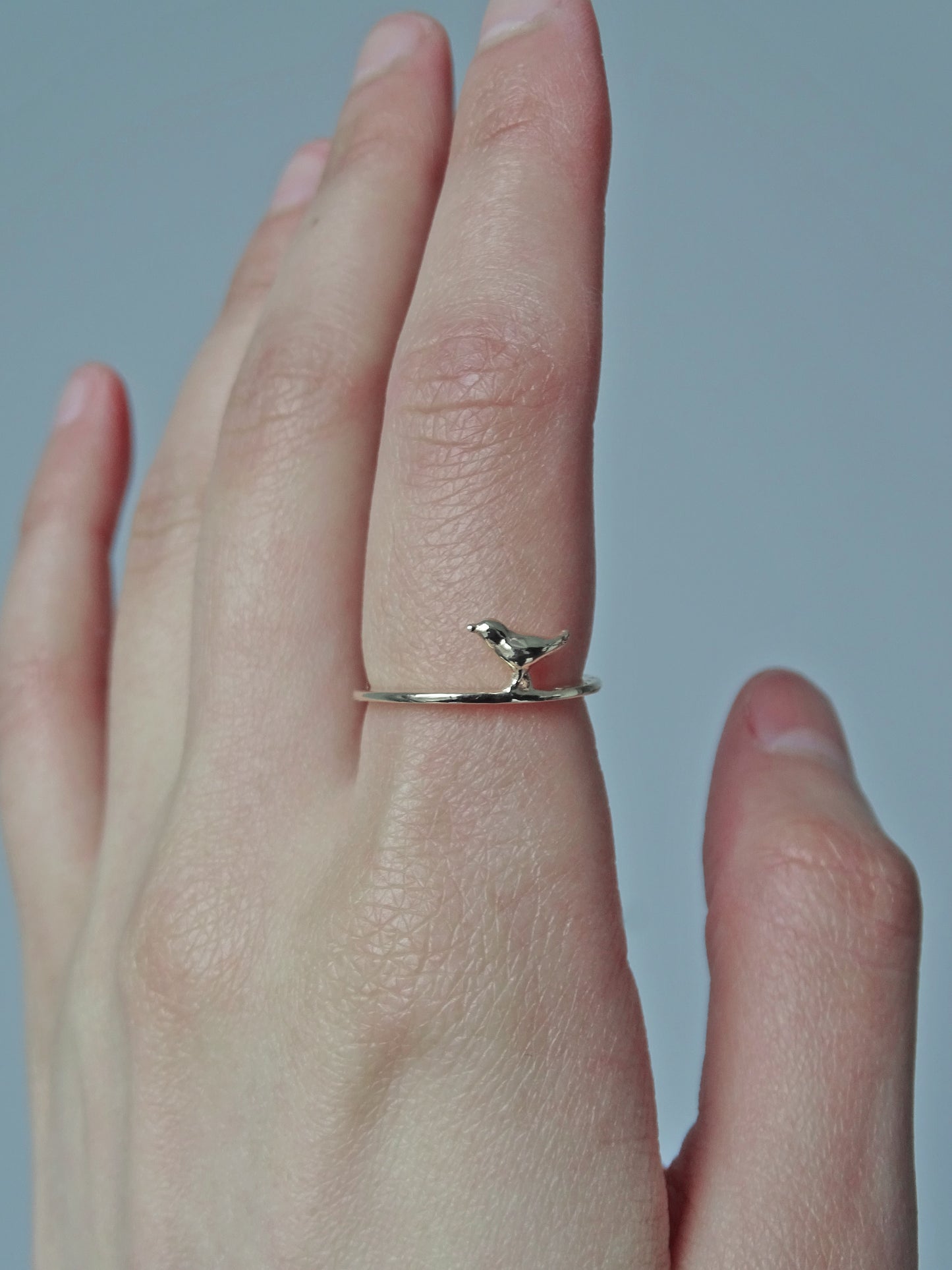 Songbird Stroll Ring ∙ Silver