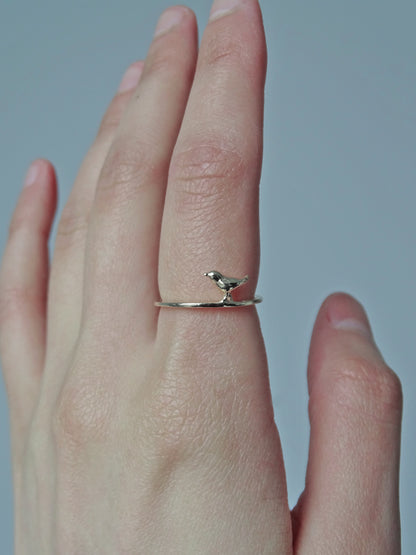 Songbird Stroll Ring ∙ Silver