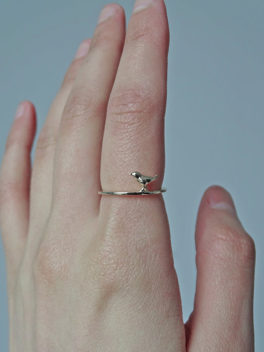 Songbird Stroll Ring ∙ Silver